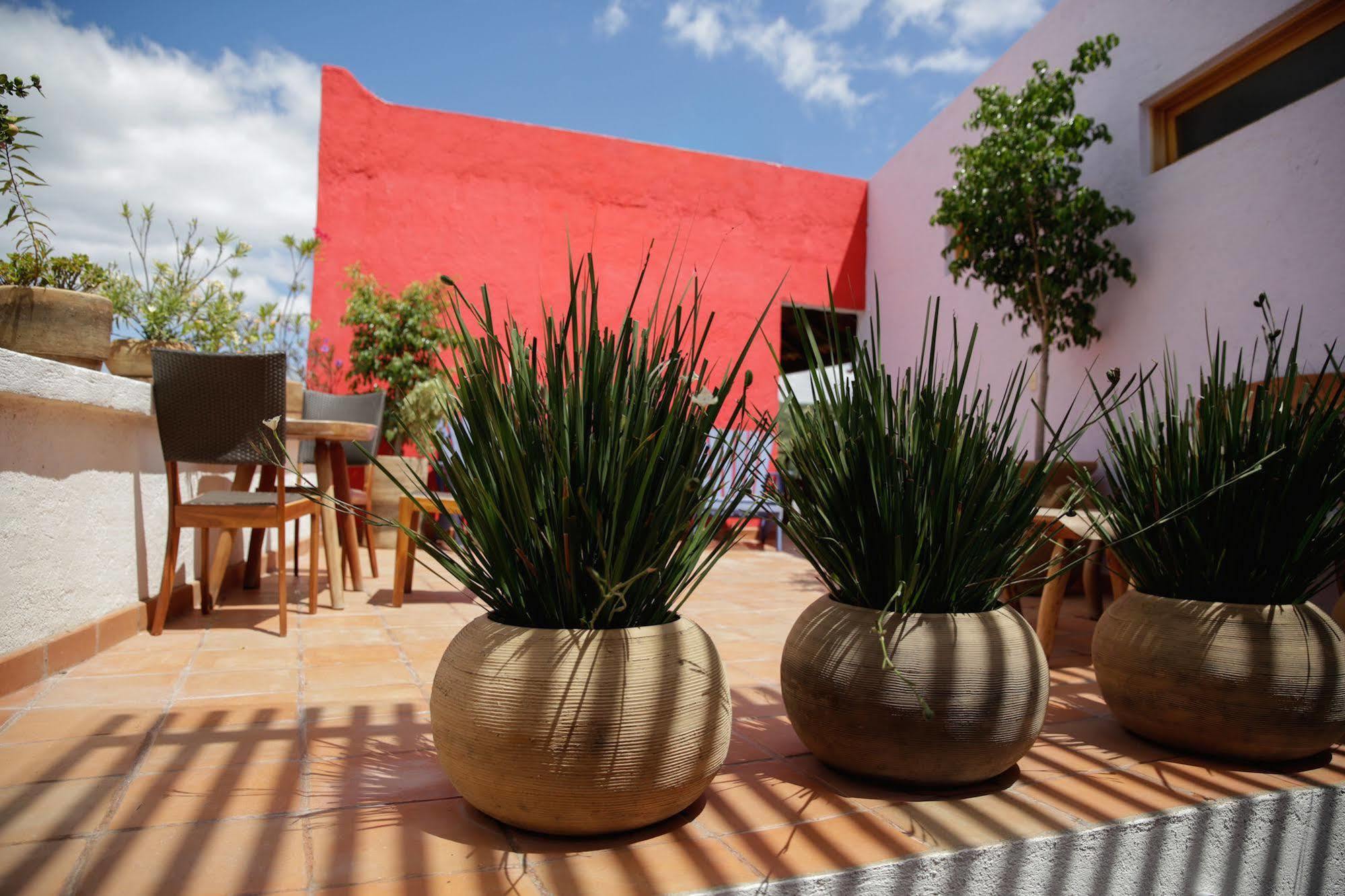 Casa Tsaya Hotel Boutique Bernal Esterno foto